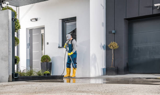 Best Solar Panel Cleaning  in Homewood, SC